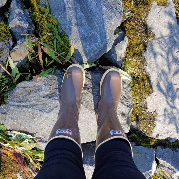 Greetings from Alaska! - Picture 2 of 7